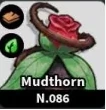 Mudthorn Evolution — Ground